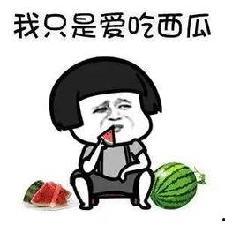 娱乐圈吃瓜动画片叫什么